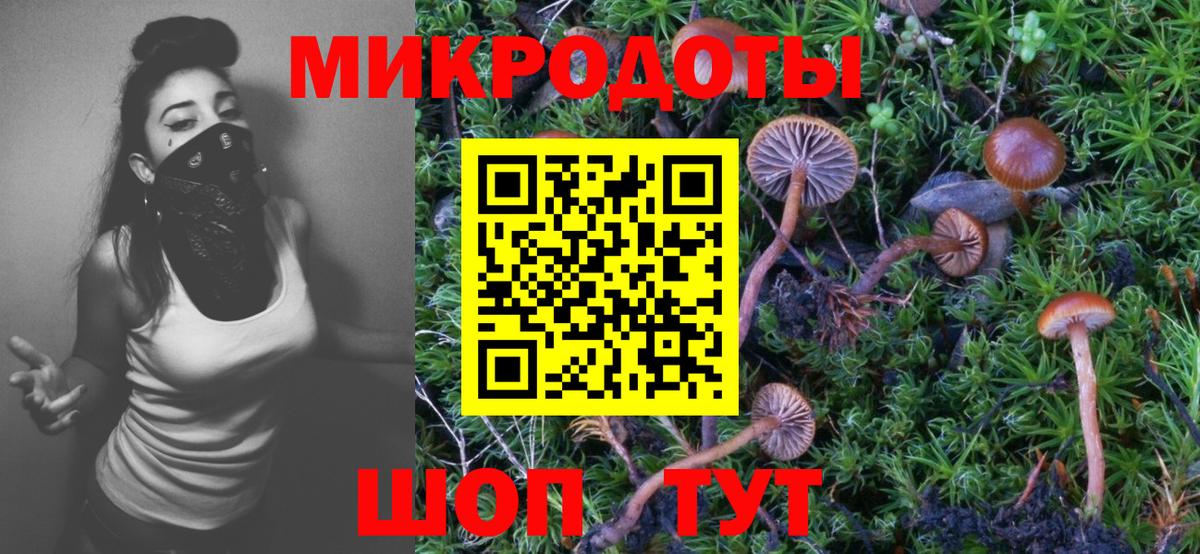 Галлюциногенные грибы Magic Shrooms  Галлюциногенные грибы Cubensis  цена   Юрга  Вход с VPN 